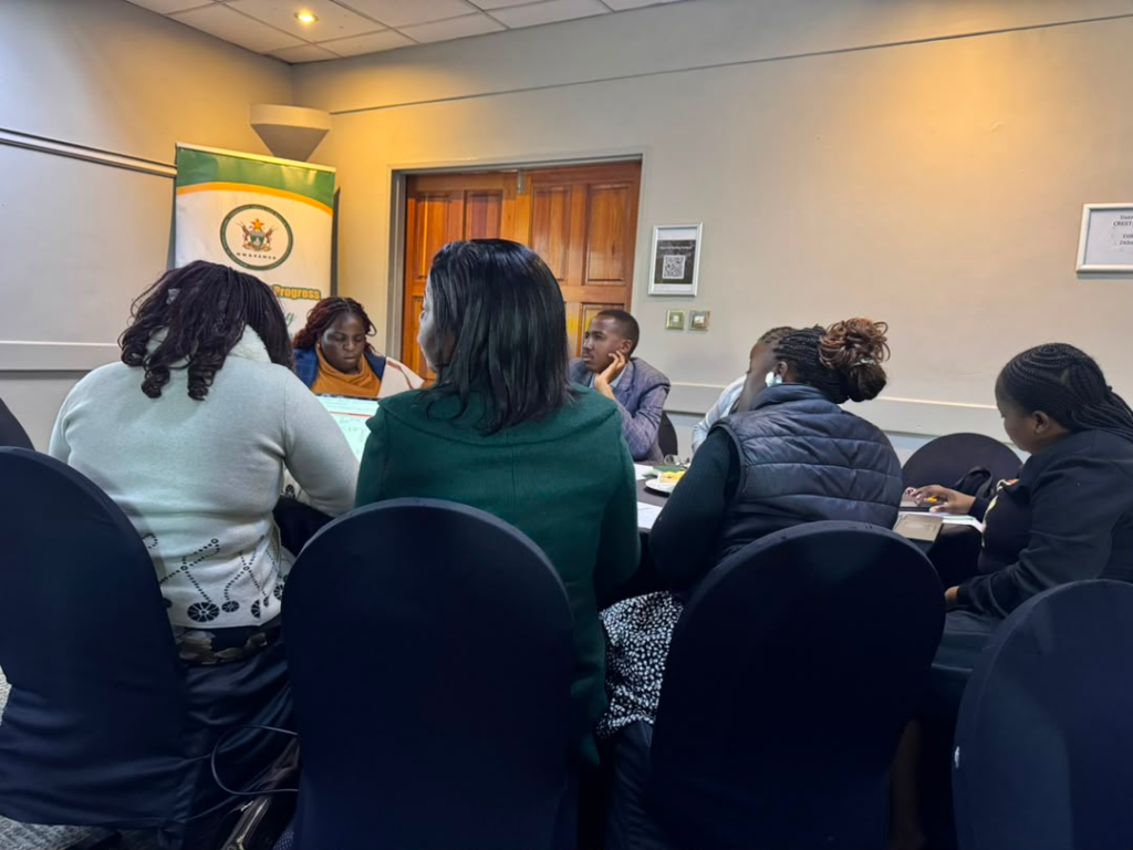 National Action Plan Review on Ending Child Marriages!